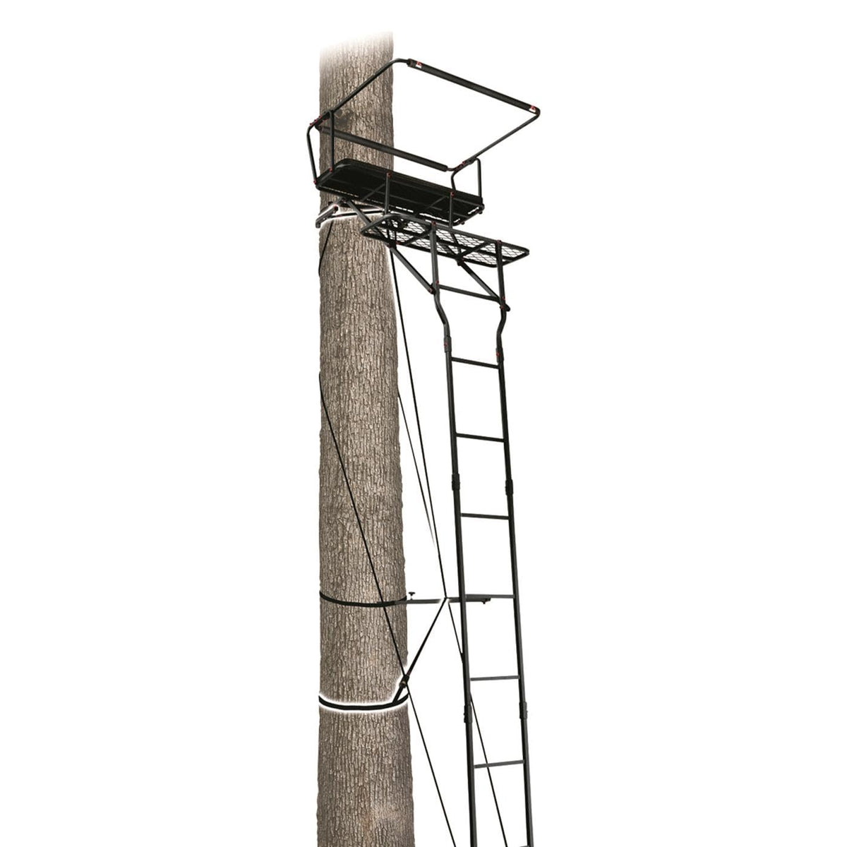 15’ Two-Person Ladder Tree Stand V809191