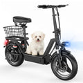 Foldable Electric Scooter with Seat D9984