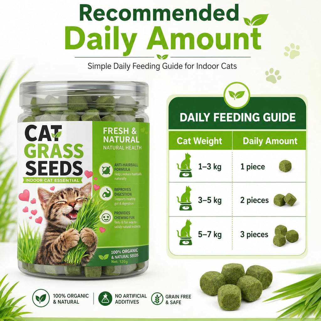 Cat Grass for Indoor Cats H7965