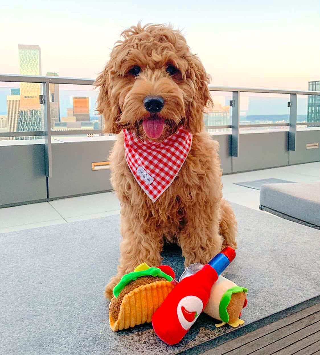 Plush Dog Toys M3219