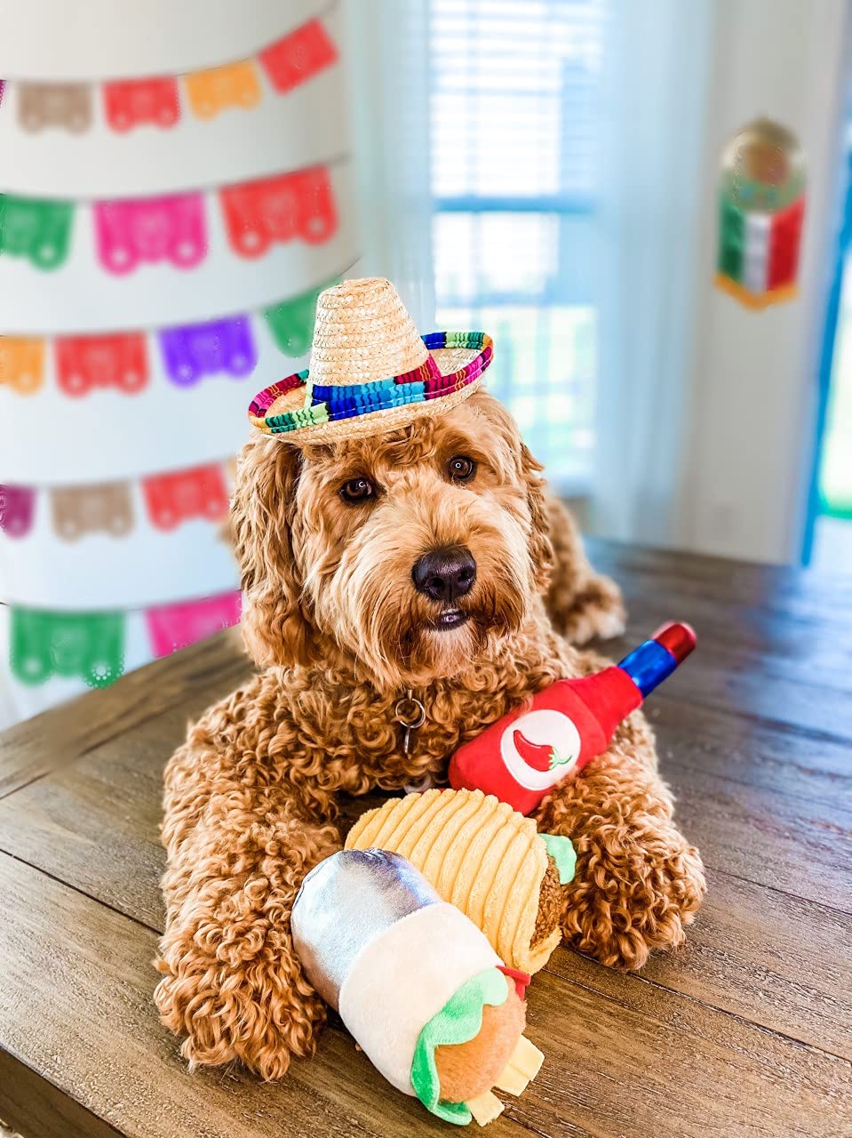 Plush Dog Toys M3219