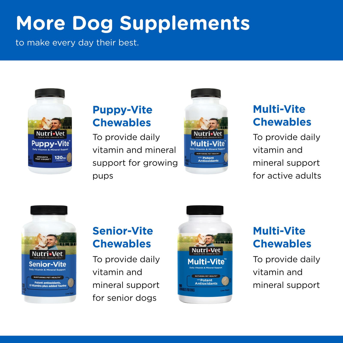 Dog Multivitamin 70 Count I332