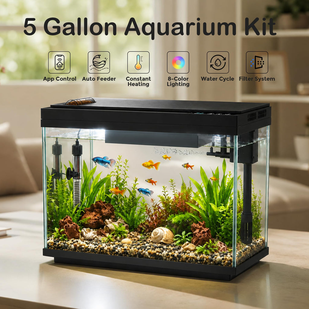 5 Gallon Aquarium Kit Ultra-White Glass O3324