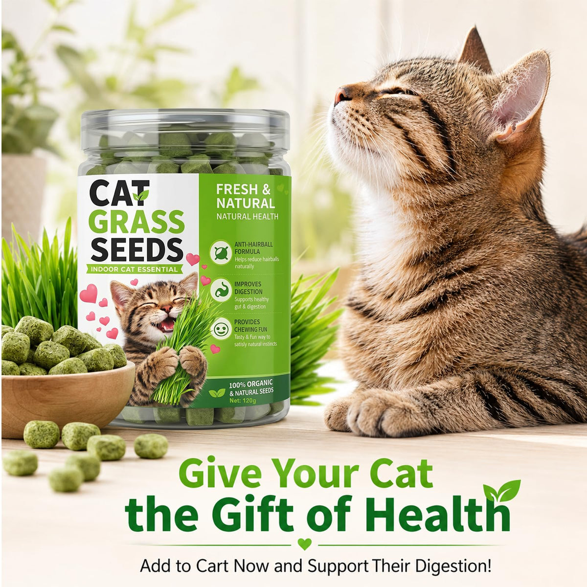 Cat Grass for Indoor Cats H7965