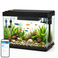 5 Gallon Aquarium Kit Ultra-White Glass O3324