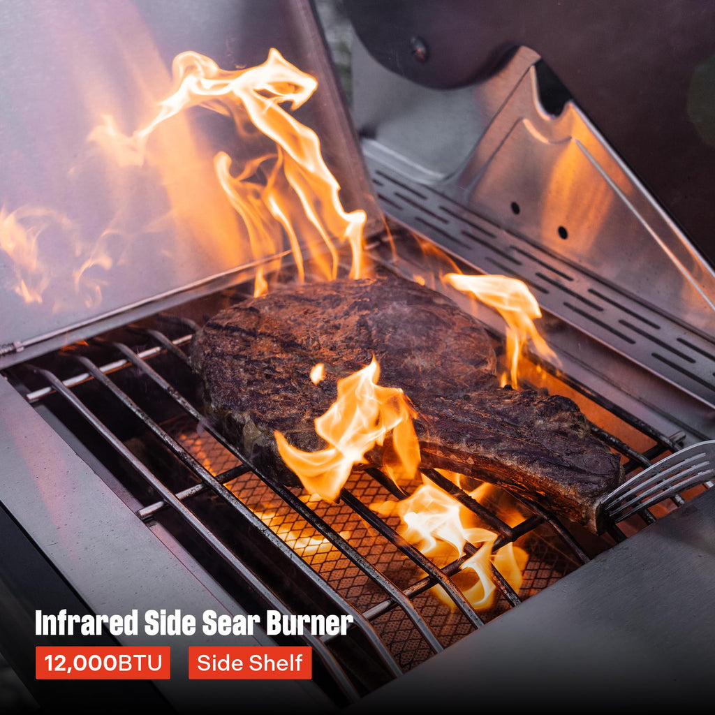 4-Burner Propane Gas Grill Stainless Steel with Side Burners U655