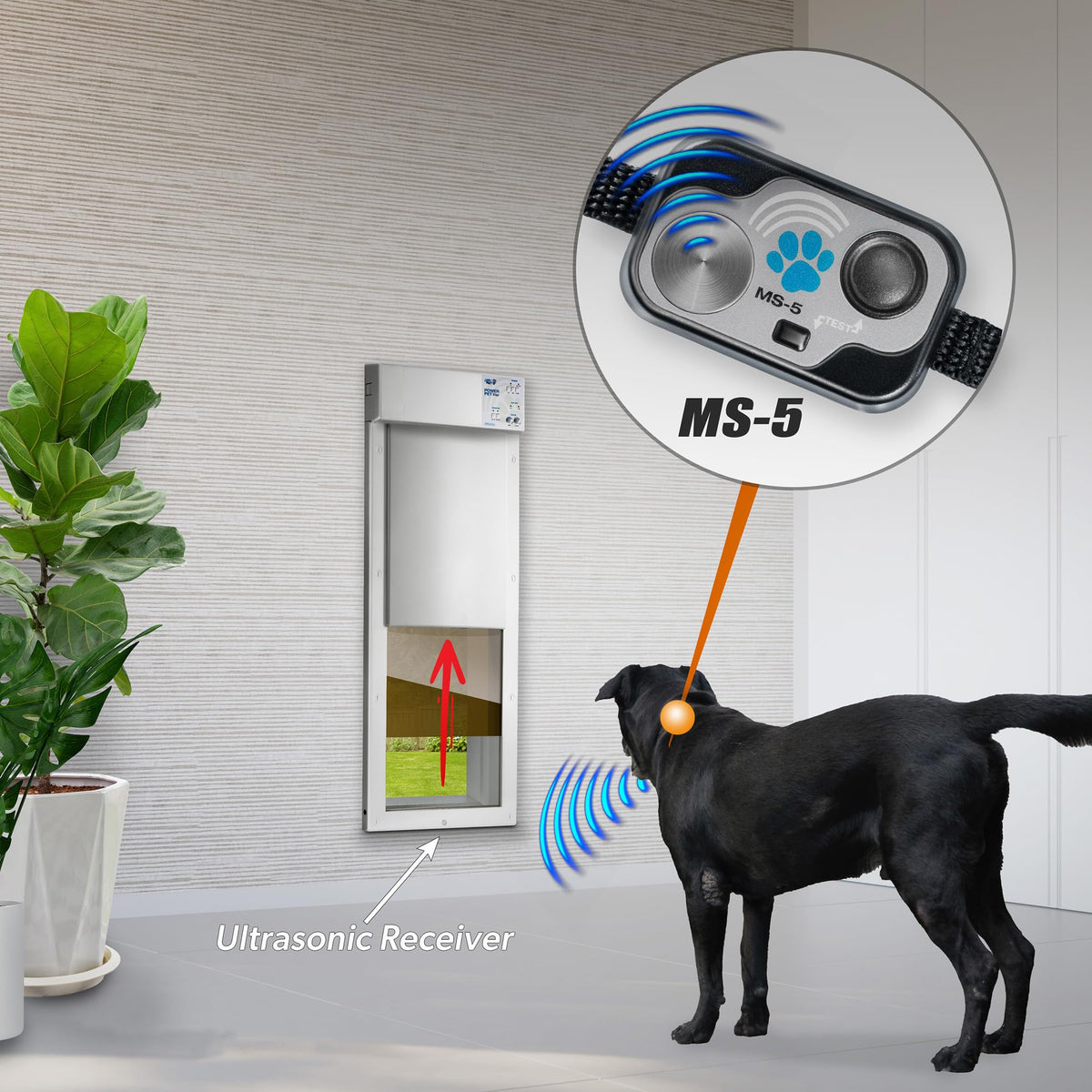 Automatic Smart Pet Door Collar J4383