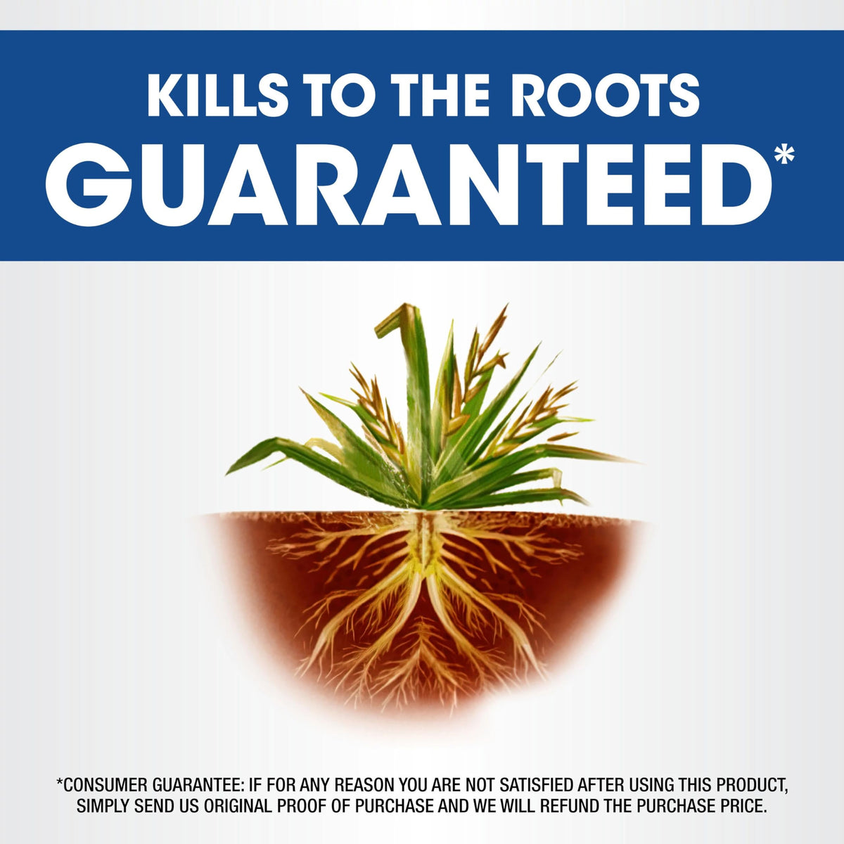 Roundup Weed & Grass Killer₄ with Sure Shot Wand, 1 gal. D366