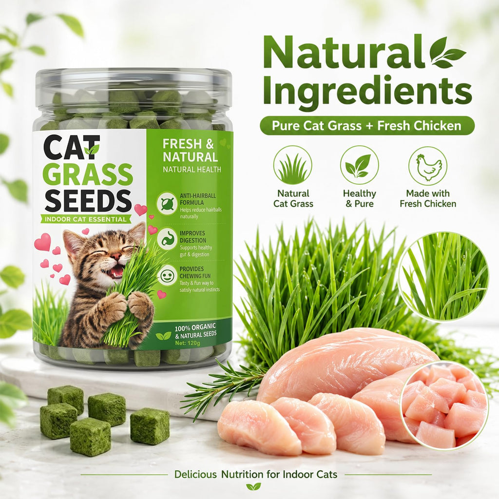 Cat Grass for Indoor Cats H7965