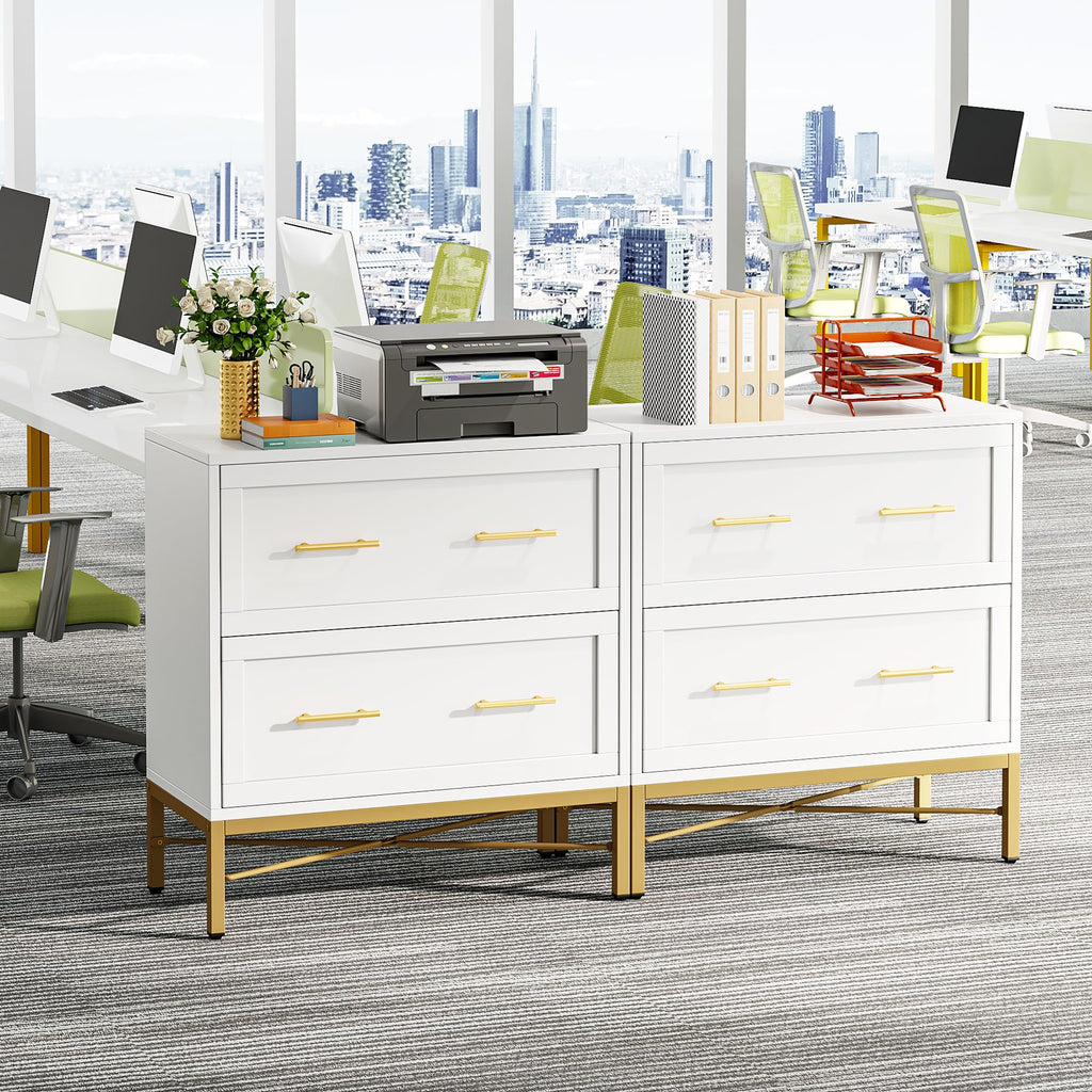 White 2 Drawer Wood File Cabinet T2326