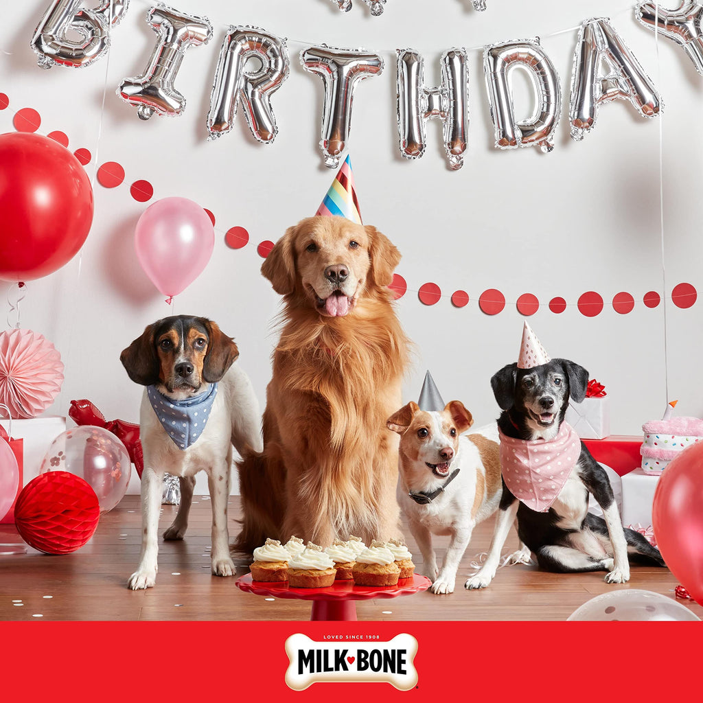 Birthday Cake Dog Treats 8 Oz N83089
