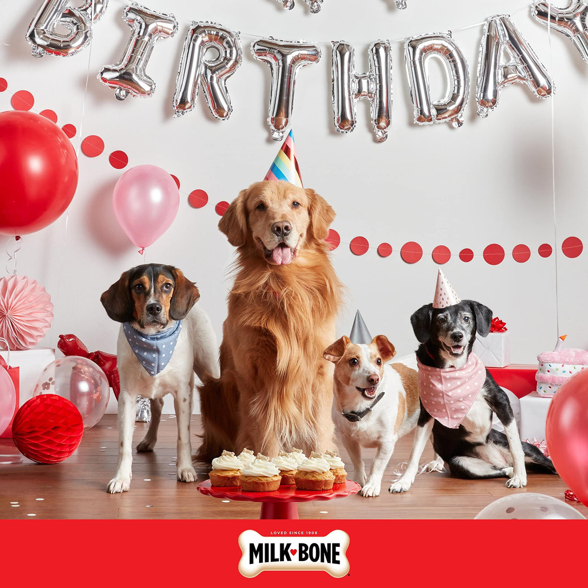 Birthday Cake Dog Treats 8 Oz N83089